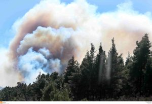 Χαλκιδική: Βελτιωμένη η εικόνα της φωτιάς στη Βουρβουρού – Ολονύχτια μάχη έδωσαν οι επίγειες δυνάμεις πυρόσβεσης