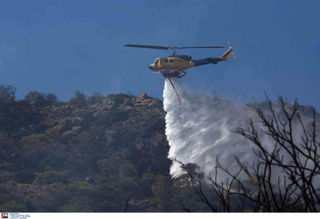 Ορεστιάδα: Φωτιά τώρα στην περιοχή Αμμόβουνο – Στη “μάχη” και πέντε εναέρια μέσα