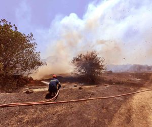 Υπό μερικό έλεγχο η φωτιά στη Λάγια Μάνης