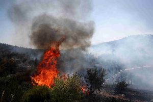 Γεράκι Αμαλιάδας: Διάσπαρτες εστίες φωτιάς αντιμετωπίζει η Πυροσβεστική – Στη μάχη από το πρωί τα εναέρια