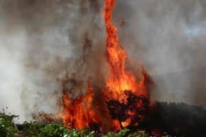 Πολύ υψηλός κίνδυνος πυρκαγιάς αύριο σε 11 περιφέρειες – ΧΑΡΤΗΣ