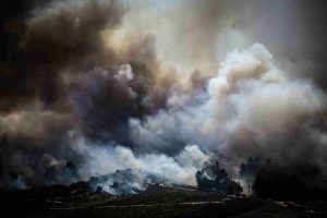 Φωτιά στον Ωρωπό: Ήχησε το 112 για εκκένωση – «Απομακρυνθείτε προς Εθνική οδό»