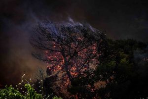 Πολύ υψηλός κίνδυνος πυρκαγιάς την Τρίτη σε Αττική, Πελοπόννησο, Θεσσαλία, Στερεά και Δυτική Ελλάδα – Χάρτης