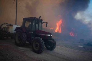 Φωτιά στην Εύβοια: Ολονύχτια μάχη με τις φλόγες – Ξεκίνησαν οι ρίψεις νερού από τα εναέρια μέσα