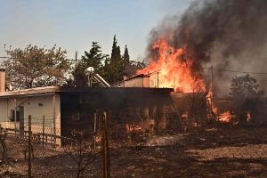 Πύρινη κόλαση στο Κρυονέρι! Η φωτιά έφτασε στην πλατεία – Καίγονται σπίτια – ΦΩΤΟ