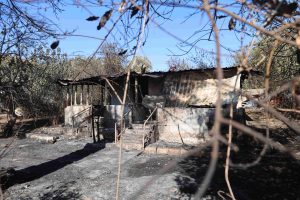 ΔΥΠΑ: Έως 1.200 ευρώ μισθός για 100 ανέργους σε δήμους που επλήγησαν από πυρκαγιές – Οι οριστικοί πίνακες