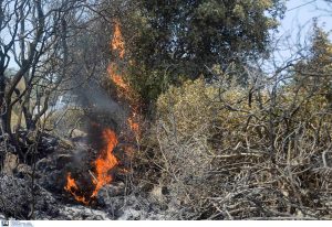 Φωτιά στα Κύθηρα: Ενισχύθηκαν οι πυροσβεστικές δυνάμεις – Ισχυροί άνεμοι 9 μποφόρ στο νησί