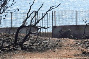 Ξεσπούν συγγενείς θυμάτων και εγκαυματίες από τη φωτιά στο Μάτι για την “Ιθάκη”: «Δεν ήταν “φυσικό” φαινόμενο»