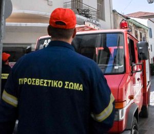 Πυροσβεστική: 47 αγροτοδασικές πυρκαγιές το τελευταίο 24ωρο σε όλη την Ελλάδα