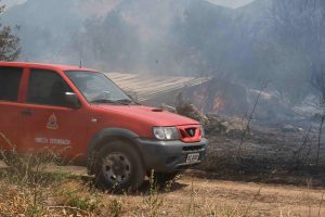 Συνελήφθησαν δύο γυναίκες για εμπρησμό από πρόθεση και κατ’ εξακολούθηση σε Ηλεία και Εύβοια