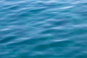 Χαβάη: Ορισμένοι αψηφούν την προειδοποίηση για τσουνάμι μένοντας μέσα στη θάλασσα, vid