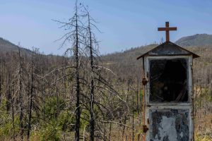 Η “Γη των Κρίνων”: Mια βιωματική διαδρομή για τη Βόρεια Εύβοια που “ανθίζει” ξανά μέσα από τις στάχτες