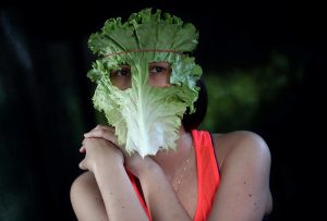 Πήγε να κάνει τον σκύλο vegeterian…αλλά δείτε τι έγινε! Επικό βίντεο