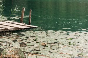 Ελικόπτερο της πυροσβεστικής στη Γαλλία συνετρίβη σε λίμνη – BINTEO