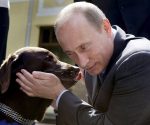 Man and a animal