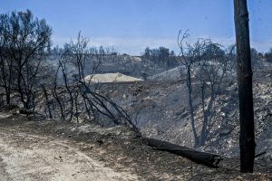 Έκτακτη οικονομική ενίσχυση στον δήμο Πατρέων για τους πληγέντες της πυρκαγιάς του φετινού Αυγούστου
