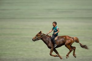 Μικρό αγόρι πηγαίνει στο σχολείο με άλογο ενώ ο σκύλος τον συνοδεύει! Απίστευτο βίντεο