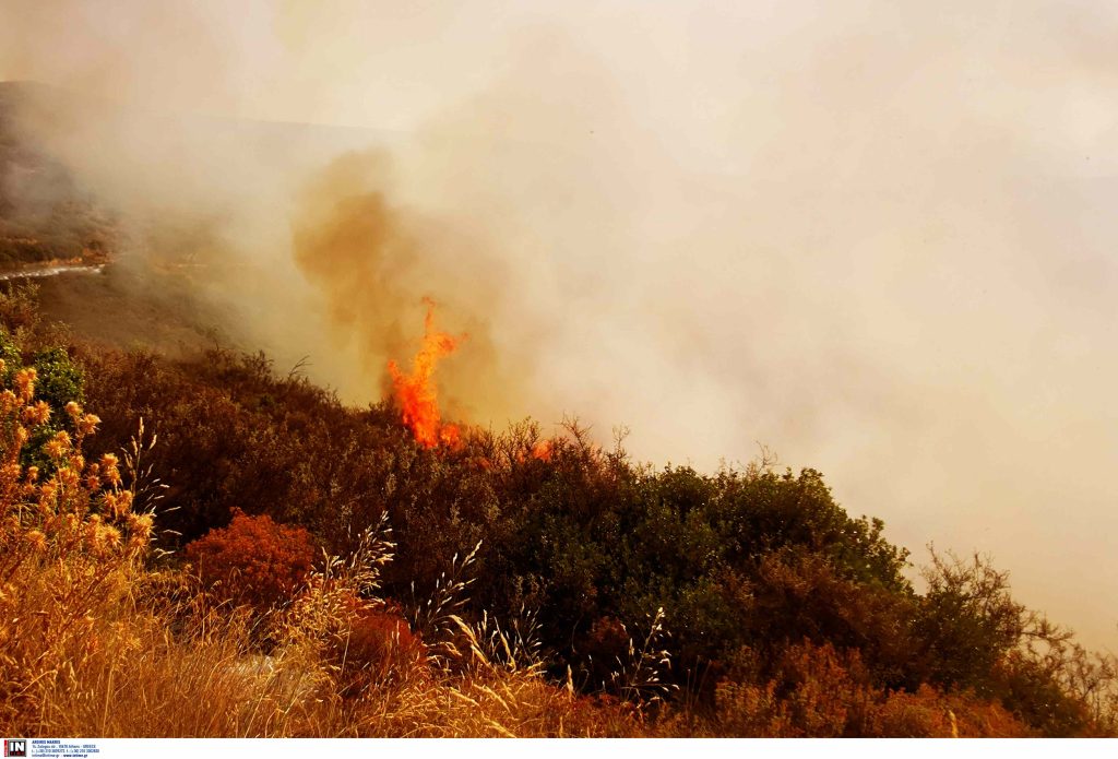 Φωτιά τώρα και στο  Φίχτι Αργολίδας – Στη “μάχη” 40 πυροσβέστες – Οι πρώτες εικόνες από το σημείο