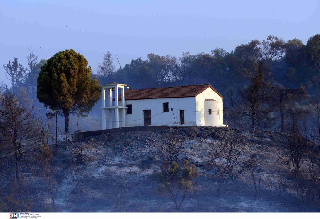 Φωτιά στην Ηλεία: “Στάχτη” έγιναν 7.950 στρέμματα – Δείτε την δορυφορική εικόνα της καταστροφής