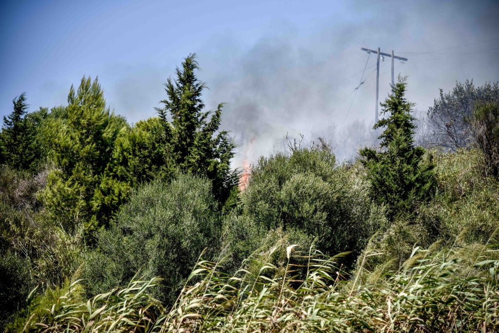 Οριοθετήθηκαν οι πυρκαγιές σε Καστροσυκιά και Στεφάνη Πρέβεζας – Σε ύφεση η φωτιά στη Βρυσούλα
