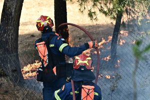 Μεγάλη φωτιά στην Καλλιτεχνούπολη: Ήχησε το 112 – Στη “μάχη” 132 πυροσβέστες, vid
