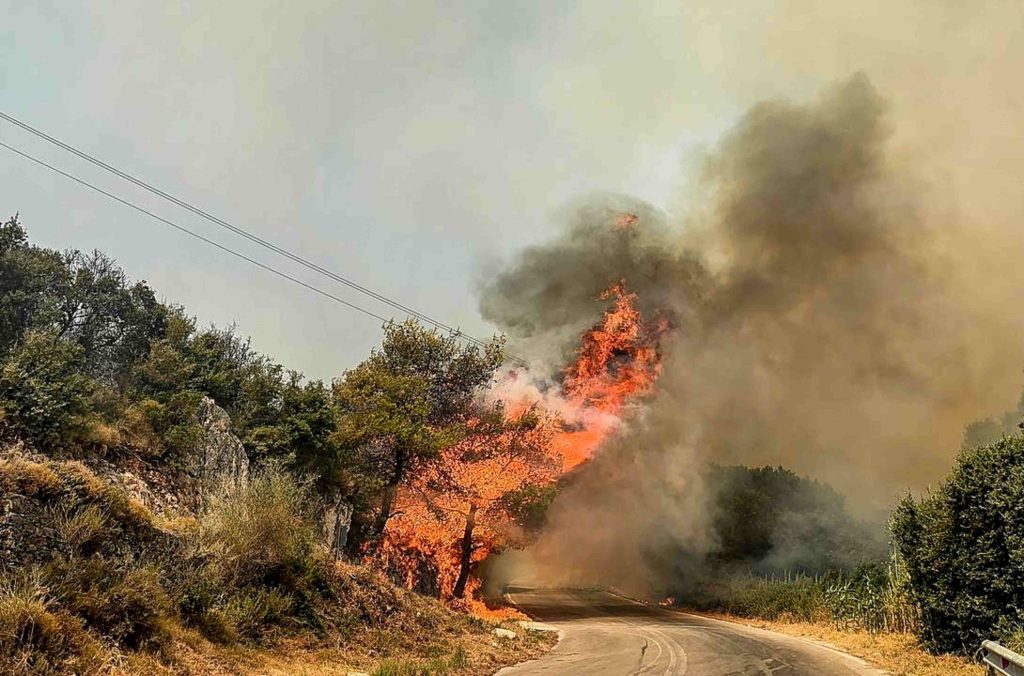 Φωτιά στο Αβραμιό Μεσσήνης – 24 αγροτοδασικές πυρκαγιές το τελευταίο 24ωρο