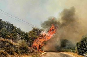 Η κυνική ομολογία 57χρονου που έβαλε 4 πυρκαγιές στη Λέσβο – Ποιο ήταν το κίνητρό του