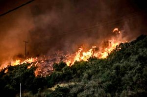 Πυρκαγιά ξέσπασε στον Δήμο Νέστου – Επιχειρούν 12 πυροσβέστες