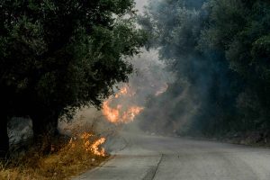 Κομοτηνή: Πυρκαγιά σε χορτολιβαδική έκταση στην περιοχή Ήφαιστος – Ήχησε και το 112