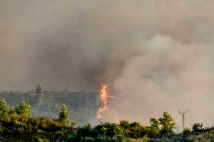 Φωτιά στη Μεσσηνία: Σε εξέλιξη αλλά με καλύτερη εικόνα -Ο μαύρος καπνός δυσκολεύει τα εναέρια