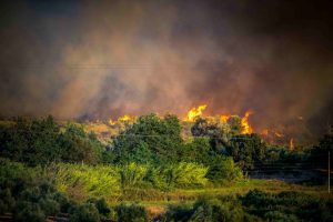 Πολύ υψηλός κίνδυνος πυρκαγιάς αύριο σε 7 περιφέρειες