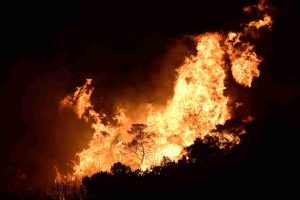 Ξέσπασαν 70 πυρκαγιές σήμερα: Σε εξέλιξη η φωτιά στον Γαλατά – Η εικόνα στα υπόλοιπα μέτωπα (upd)