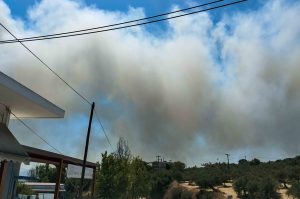 Φωτιά στη Φλόκα Αχαΐας: Ενισχύθηκαν οι πυροσβεστικές δυνάμεις – Επιχειρούν 114 πυροσβέστες και 7 εναέρια