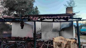 Φωτιές: Ξεκίνησαν οι αυτοψίες στις πληγείσες περιοχές, για την άμεση αποκατάσταση των καταστροφών