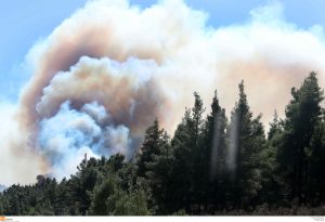 Χαλκιδική: Οριοθετήθηκε η φωτιά στη Λαγόμανδρα