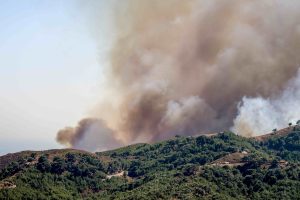 Αυτοψίες για καταγραφή ζημιών από τις πυρκαγιές σε Χίο και Ζάκυνθο – “Να είναι παρόντες οι ιδιοκτήτες”