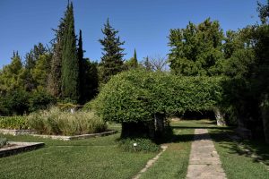 Βοτανικός Κήπος Διομήδους, ο μεγαλύτερος στην Ανατολική Μεσόγειο – Μια όαση δροσιάς στην Ιερά Οδό