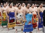 Sumo