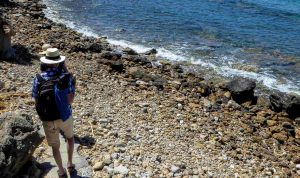 Ο Σουηδός που χορεύει “Στης Πάργας τον ανήφορο” και απορεί με τα ελληνικά διόδια! vid