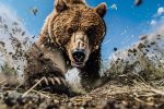 Photorealistic view of wild bear in its natural environment