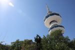 ΔΙΕΘΝΗ ΕΚΘΕΣΗ ΘΕΣΣΑΛΟΝΙΚΗΣ