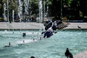 Καιρός σήμερα: Μικρή άνοδος της θερμοκρασίας και ισχυροί άνεμοι έως 7 μποφόρ