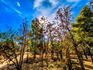 Καιρός: Με αίθριο καιρό και 20άρια κάνει ποδαρικό ο Δεκέμβριος – Πότε έρχεται νέο κύμα κακοκαιρίας