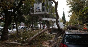 Θεσσαλονίκη: Έπεσε δέντρο και καταπλάκωσε σταθμευμένο ΙΧ στην Τούμπα