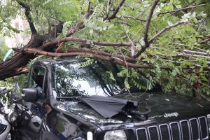 Κακοκαιρία: Έπεσε ξανά δέντρο στο κέντρο της Αθήνας και καταπλάκωσε οδηγό μηχανής – Δείτε εικόνες