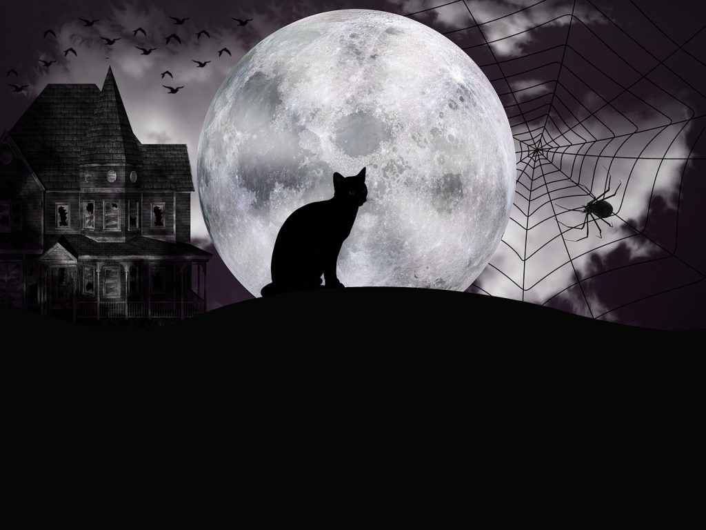 Halloween: Ο ανατριχιαστικός λόγος που πόλη της Καταλονίας απαγόρευσε την υιοθεσία μαύρων γάτων