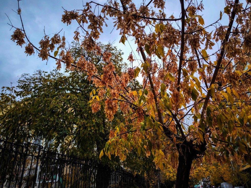 Ίδιο το σκηνικό του καιρού σήμερα με 25άρια αλλά και τοπικές βροχές – Δείτε σε ποιες περιοχές
