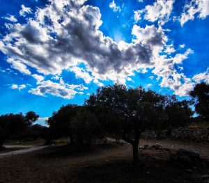 Καιρός σήμερα: Αίθριος με μεμονωμένες καταιγίδες – Στους 25 βαθμούς η θερμοκρασία