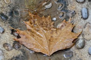 Κακοκαιρία: Κλειστά τα σχολεία σε 11 δήμους της Ελλάδας