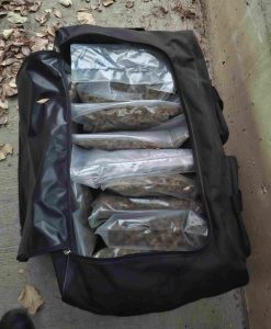 Ηράκλειο: Σύλληψη 27χρονου για ναρκωτικά – Κατασχέθηκε ποσότητα κοκαΐνης και σχεδόν ένα κιλό κάνναβης